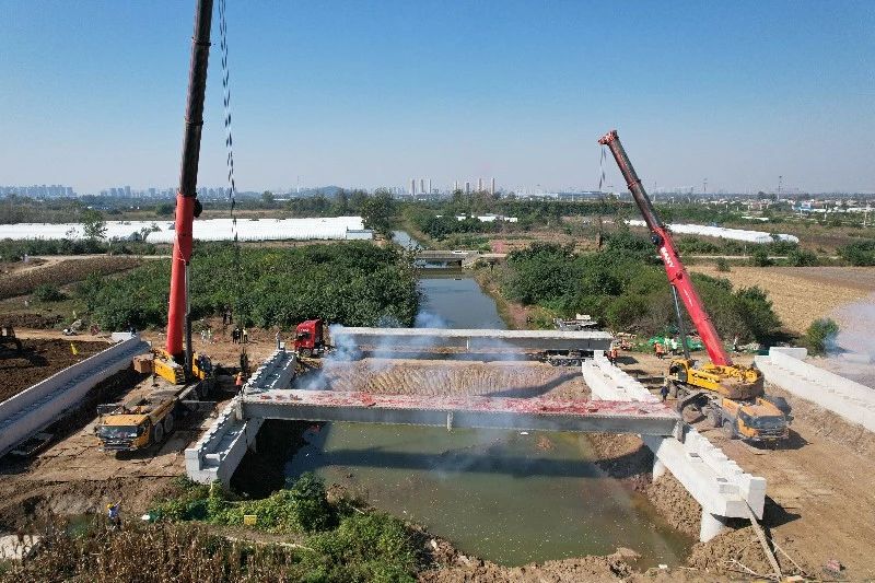 1699345212642448.jpg 百日三.jpg