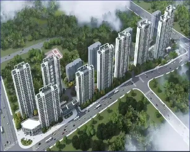 1702603021767783.jpg 表扬信1.jpg