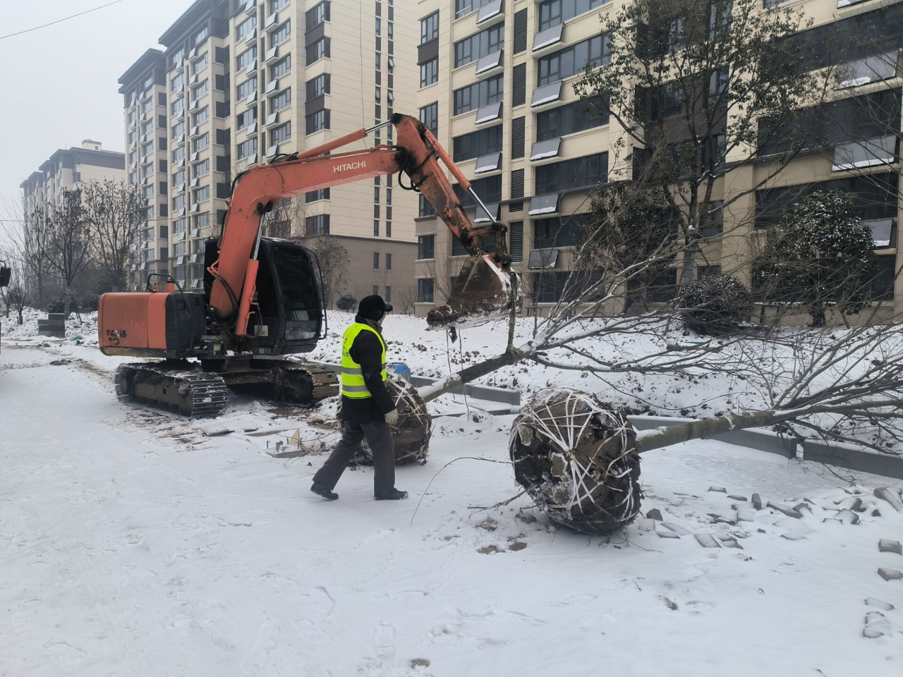 1703042434216429.jpg 坚守14.jpg