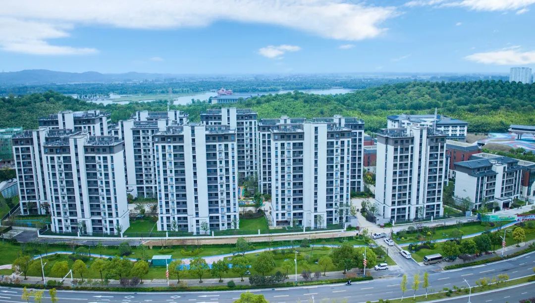 1704179037598745.jpg 喜讯1.jpg