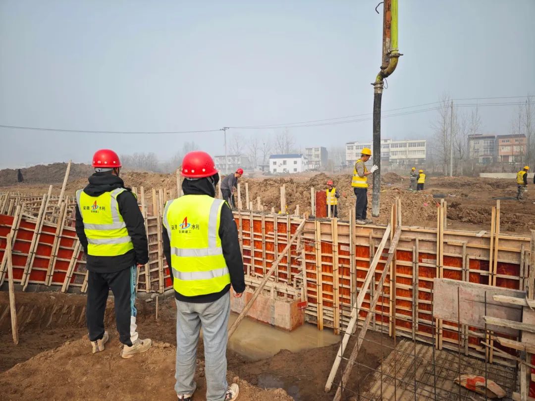 1704180698565372.jpg 9.jpg