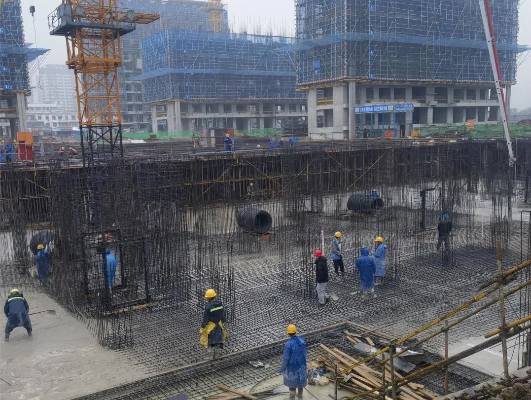 1706580306740134.jpg “项”前冲7.jpg