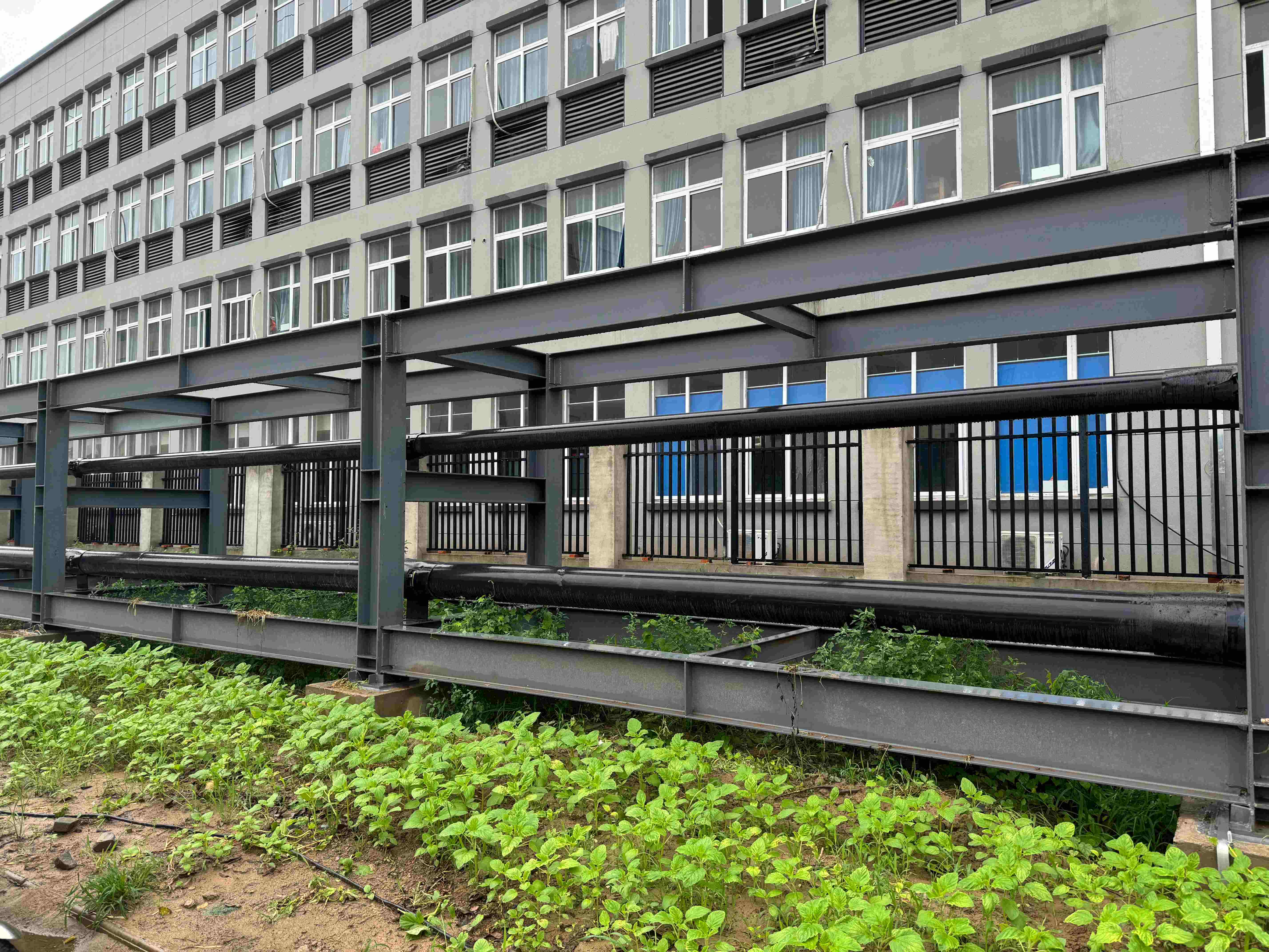 1721622996183477.jpg 1721622996183477.jpg