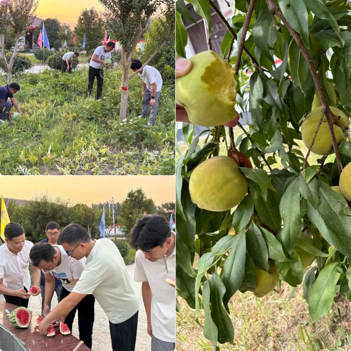 1753750312988440.jpg 4.jpg